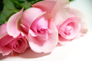 人生 楽しい 自分が大好きだから